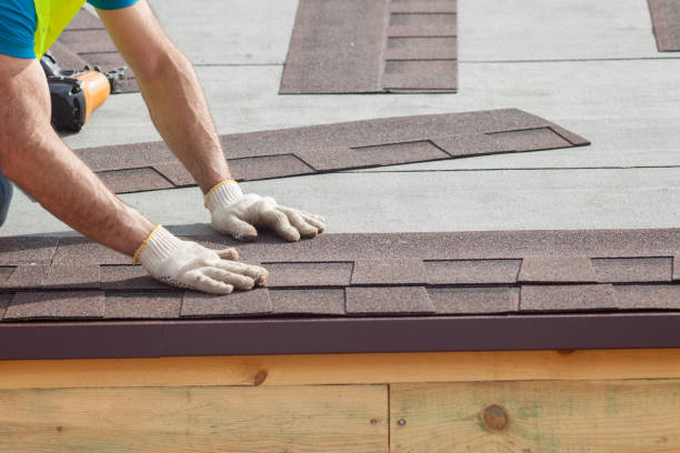 Best Skylight Installation and Repair  in Kyle, SD